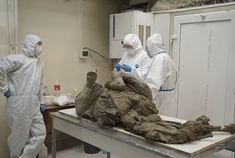 Пробуждение древней "чумы". Российские ученые стремятся воскресить зомби-вирус, убивший мамонтов