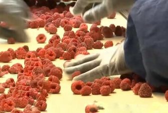 160 грн за кілограм: улюблена ягода українців різко підскочила в ціні, чи зможемо дозволити собі в 2022-му