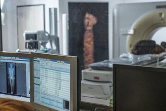 Ученые нашли первую в мире беременную мумию