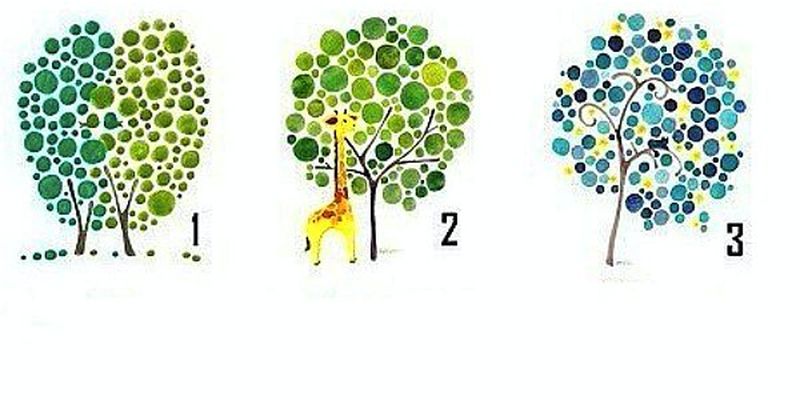 Тест: Выберите дерево и оно раскроет самую яркую черту вашего характера