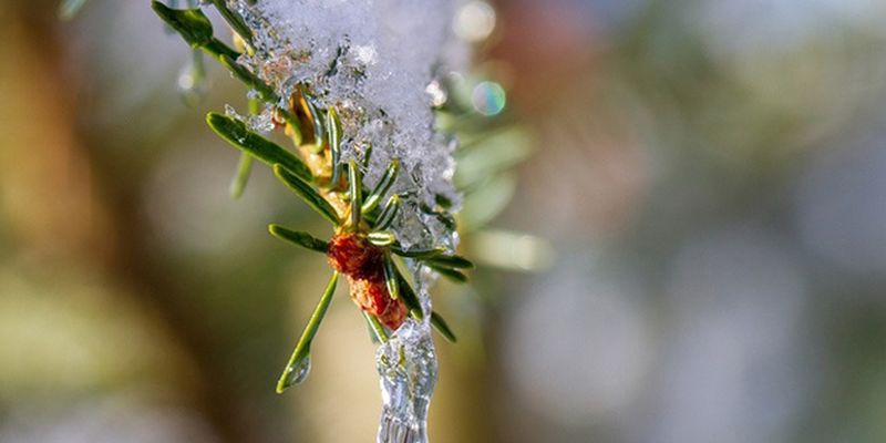«Температурные качели» в Украине: от 20° мороза до 10° тепла