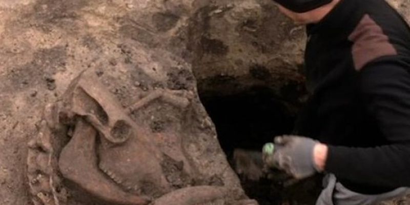 Вблизи Ровно найдено древнее ритуальное захоронение