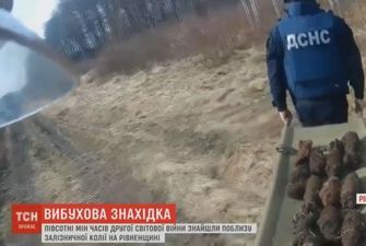 На Рівненщині рятувальники виявили десятки мін біля залізничних колій
