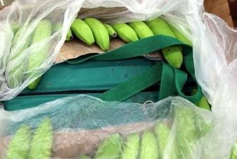 У Болгарії серед бананів знайшли партію кокаїну на 2,6 млн євро