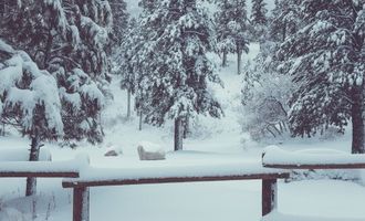 Мороз и сильные снегопады: какой будет погода 12 февраля