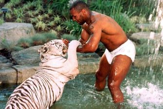 "Была изуродована": Майк Тайсон вспомнил нападение своего тигра на незнакомку