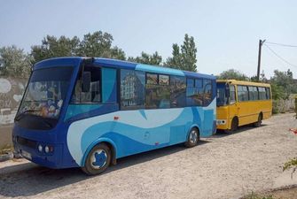 Уникальный автобус БАЗ-3202 Пролисок на маршруте по сей день