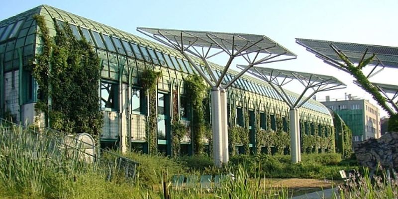 Ботанічний сад Варшавського університету відкрився на літній сезон