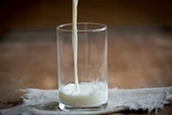 Украина нарастила производство молока
