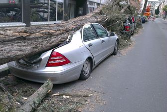 Ураган у Чехії: повалені дерева, пошкоджені авто і 15 тисяч будинків без світла