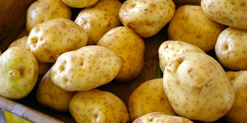 В Україні не буде дефіциту картоплі — експерт