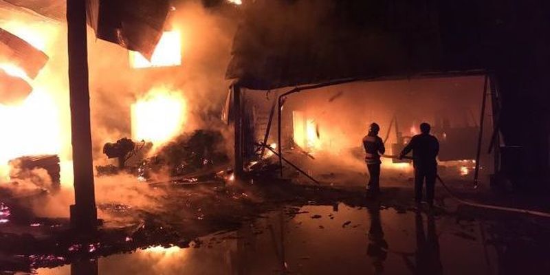 Сгорели цех и коровник, погиб человек: на Закарпатье произошел масштабный пожар