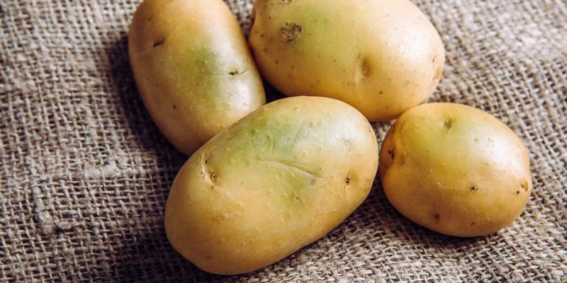 Врач раскрыл полезные свойства обычного картофеля
