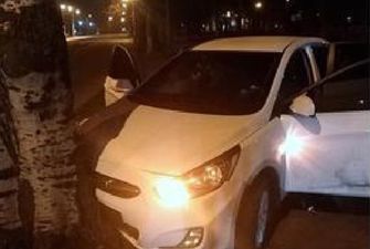 Пьяная компания на авто проигнорировала копов в Кривом Роге и влетела в дерево