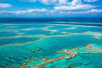 Большой Барьерный риф под угрозой исчезновения: ученые в панике