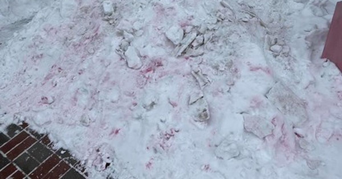 Розовый снег собаки. Розовый снег отрава для собак. Оторав для собак на снегу.