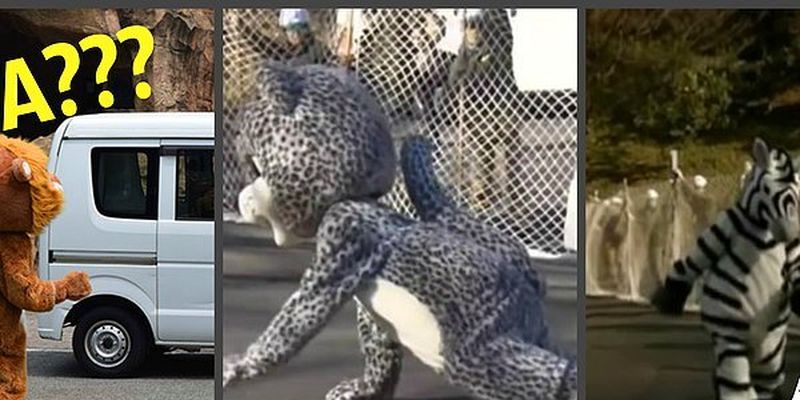 Спасательные учения в Токийском зоопарке, которые столь нелепы, что даже животные не скрывают своей реакции