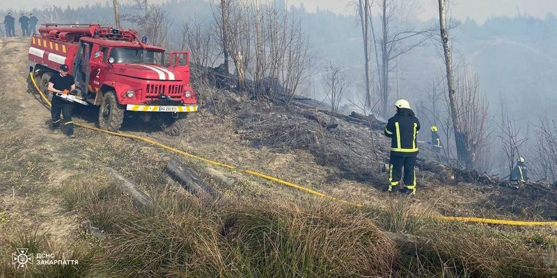 На Закарпатье горит территория лесхоза: фото, видео и все детали