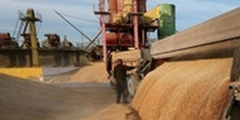 Украина экспортировала 12,9 млн тонн зерна
