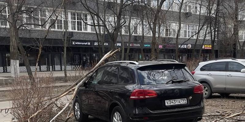 Москву накрыла стихия: деревья падают, шлагбаумы летают, туалеты "бегают"