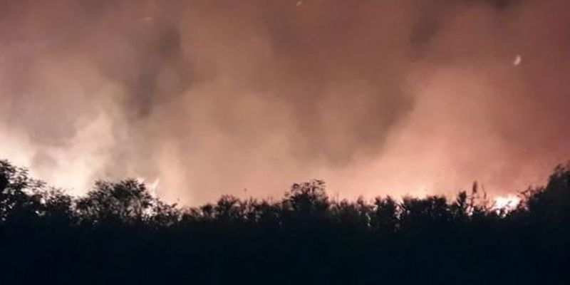 Рятувальники загасили вогонь на Дніпровських плавнях, але пожежа встигла знищити людське майно
