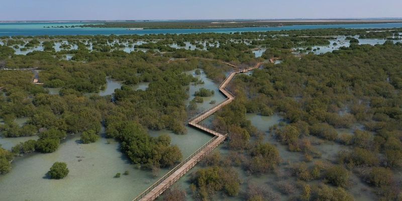 У столиці ОАЕ з'явиться унікальна зона для прогулянок в мангрових лісах