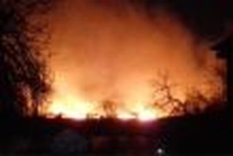 Масштабный пожар под Одессой грозит заповеднику уничтожением. ФОТО. ВИДЕО
