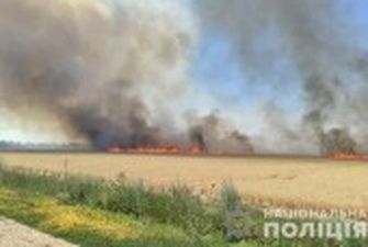 рашисти обстріляли поле озимого ячменю біля Чорнобаївки: знищено понад 200 гектарів посівів