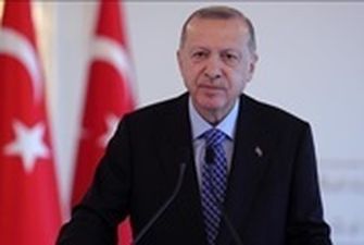 Эрдоган предложит "энергетический коридор" для транзита газа в ЕС - СМИ