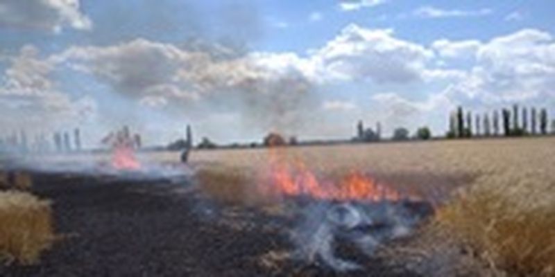 Обстрелы Сумщины: сгорело поле пшеницы