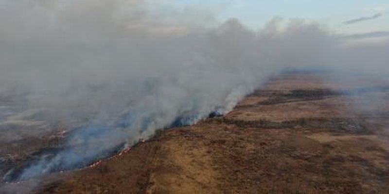 Звірі втікали від вогню, а села опинилися у пастці: в Рівненській області спалахнула масштабна пожежа
