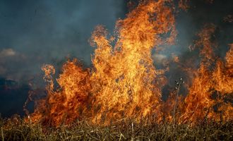 В Испании из-за масштабных пожаров сожжено более 10 тысяч гектаров земли: огонь распространяется