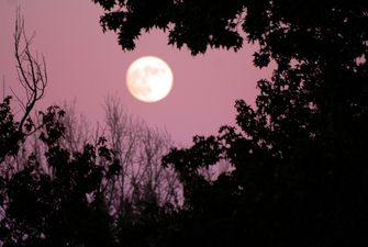 Розовая луна: когда украинцы смогут увидеть редкое природное явление