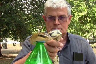 Змея присоединилась к популярному челленджу и открыла бутылку