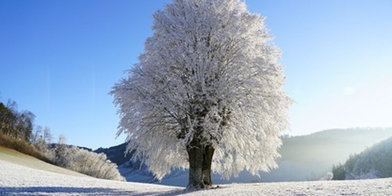 Зима хочет быть собой: синоптик рассказала о ближайшей погоде и назвала дату усиления морозов