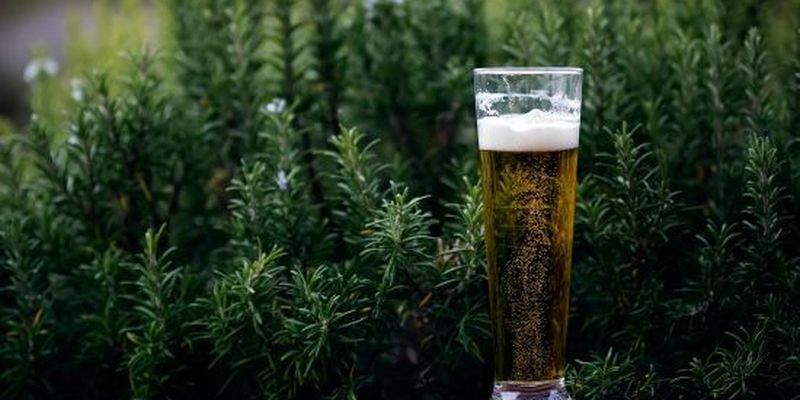 Міжнародний день пива: що за свято, де відзначають та історія напою