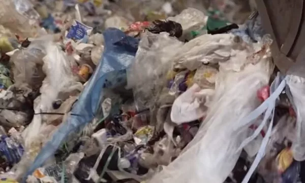 "Пластикова" криза вже тут: з роками зникнуть тварини та ліси — вчені б'ють на сполох - Фото 1