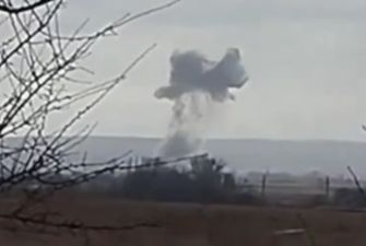 "Вот это случай": жители Донбасса сняли на видео падение одного из самолетов России