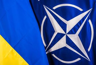 Украина в НАТО: в МИД сделали заявление