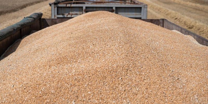 Литва начала снова покупать российское зерно, – СМИ