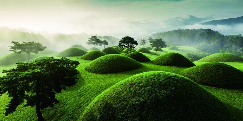 Старые чайные леса Китая, курганы Гая Тумули и планетарий Эйсинги: новые объекты Наследия ЮНЕСКО