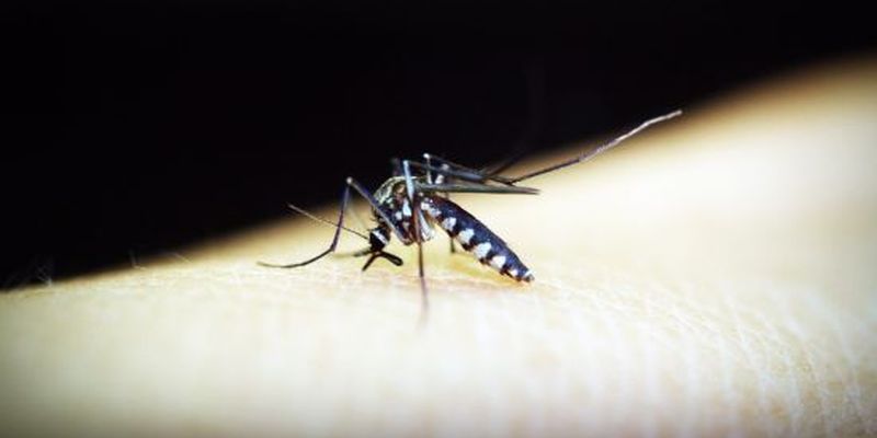 Вернулась с отдыха: в Харькове от малярии умерла женщина