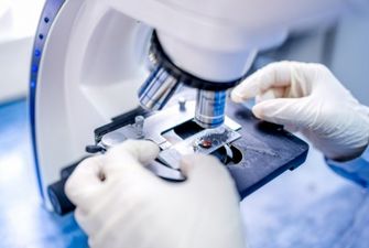 Разработка вакцины против COVID-19: нидерландские ученые нашли антитело