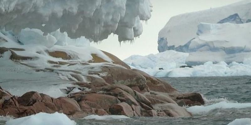 В Антарктиде ученые обнаружили новый остров