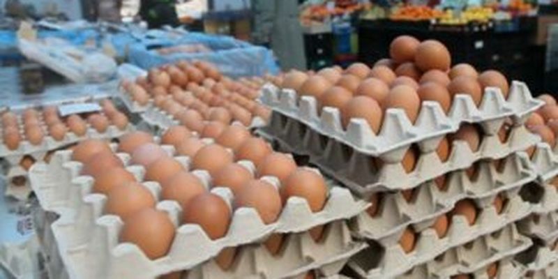 В Украине дешевеют яйца: какие цены прогнозируют в ближайшее время