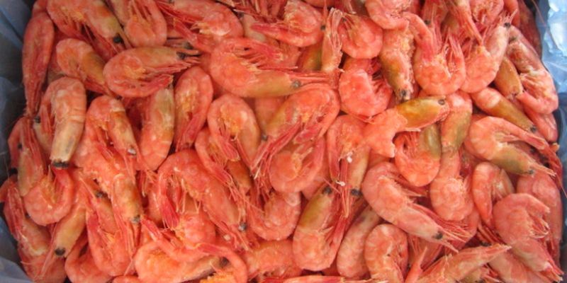 Массовое отравление креветками: бердянская прокуратура открыла дело