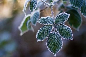 В Украине похолодает вплоть до заморозков: прогноз погоды на ближайшее время