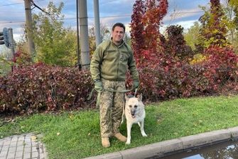 Итальянский тенор Андреа Бочелли забрал к себе раненую собаку из Купянска на Харьковщине