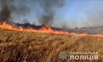 В результате вражеских обстрелов в Запорожье выгорели 70 гектаров пшеницы