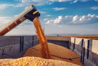 Чехия инициирует запрет импорта зерна в ЕС из России и Беларуси